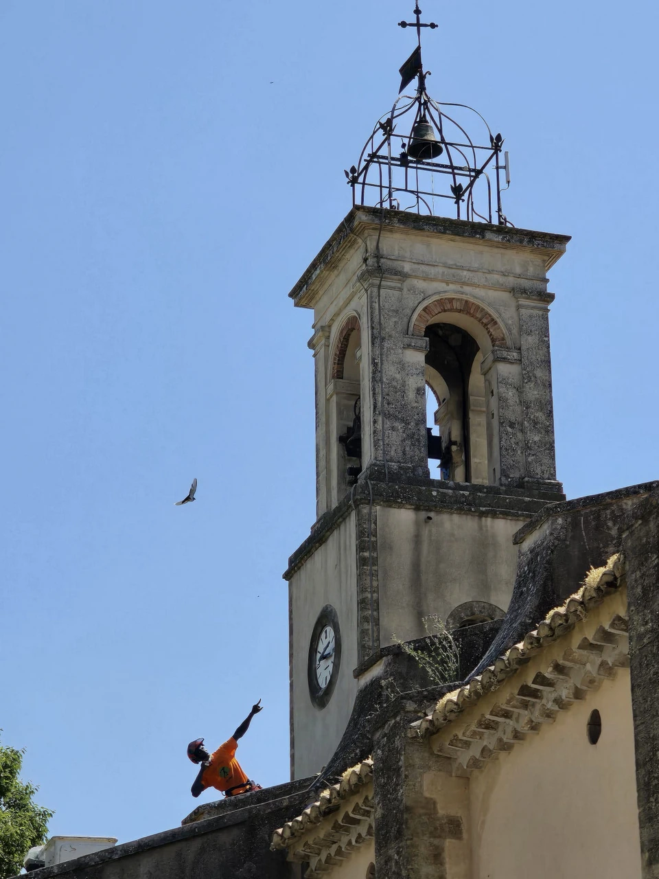 photo_2 (6)